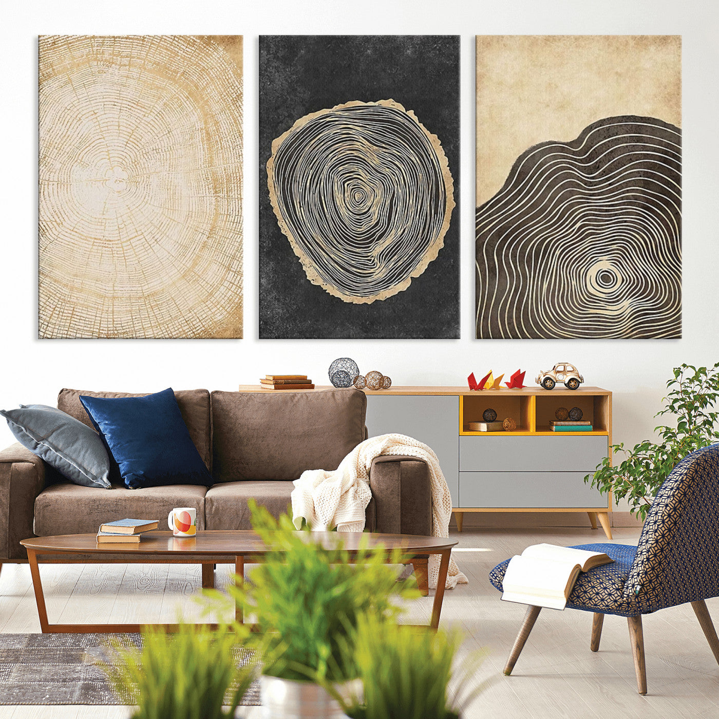 MGV-CV-60X30-3P - Tree Rings Canvas Wall Art Print – Minimalist Natural History in Modern Decor - Minimalist Boho Wall