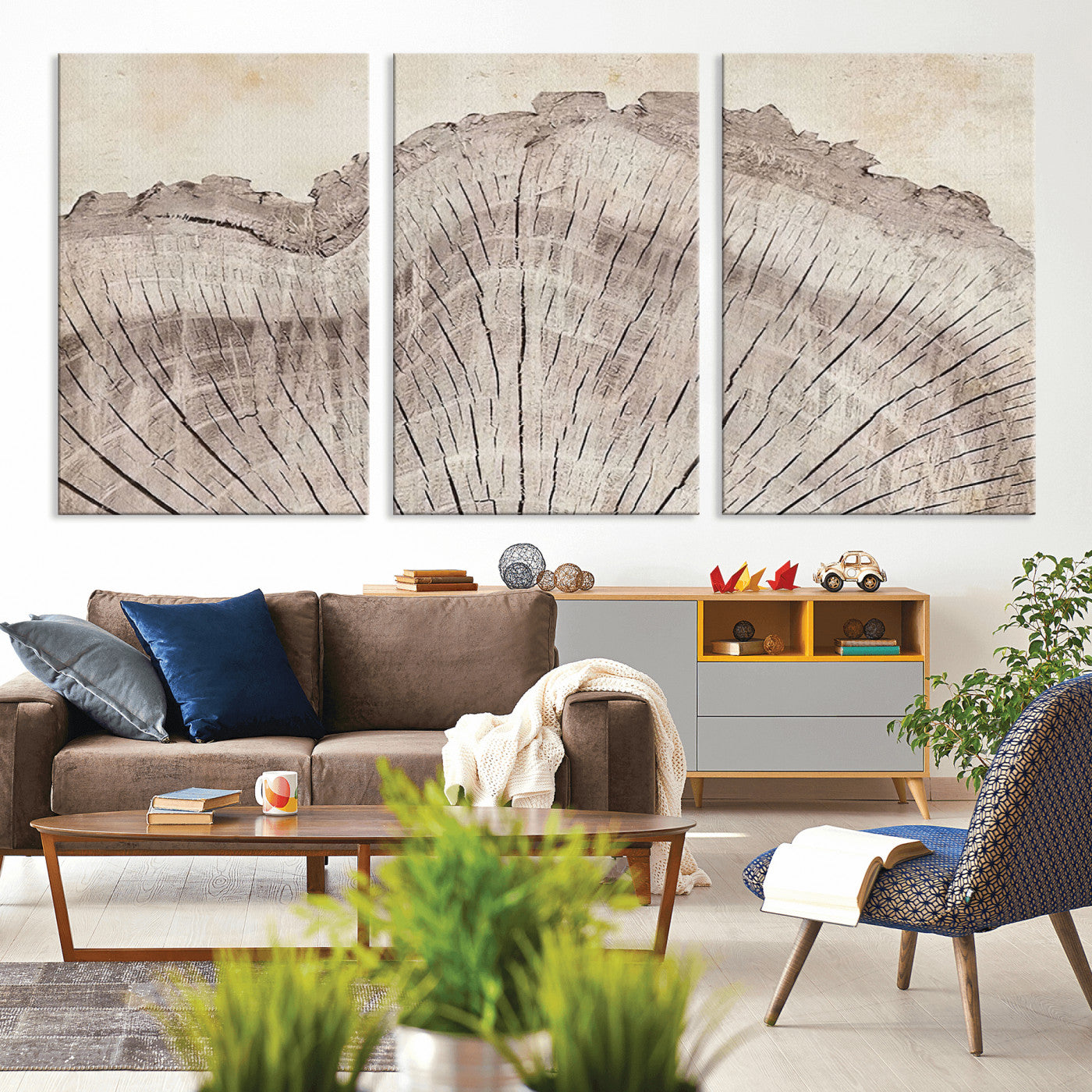 MGV-CV-60X30-3P - Tree Ring Wall Art Triptych, Rustic Wood Ring Canvas Print, Minimalist Wall Decor for Modern Homes and Farmhouse Decor