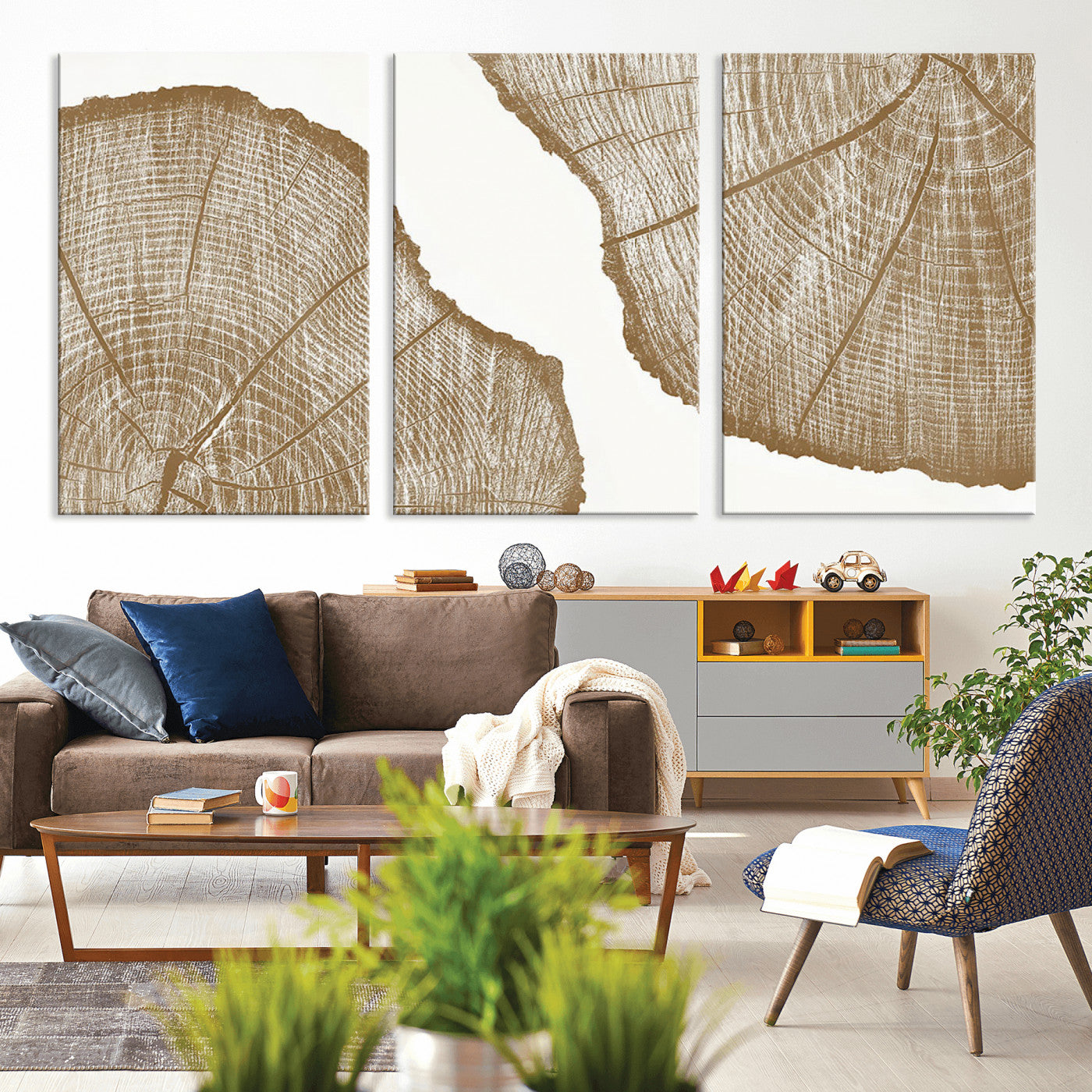 -Rustic Brown Tree Ring Wall Art Canvas Print – Framed and Ready to Hang – Elegant Nature-Inspired