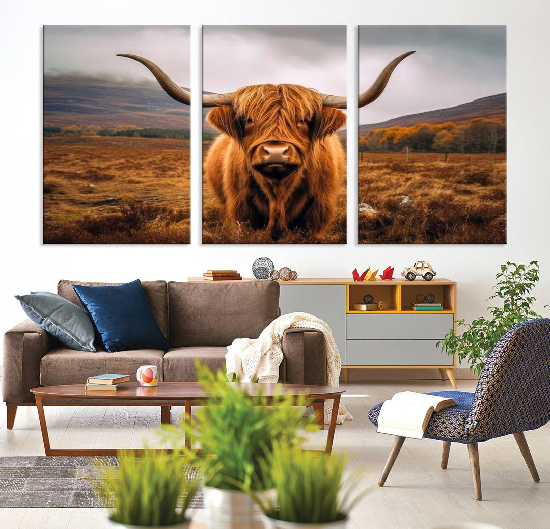 Highland Cow Longhorn Canvas Print, framed, on a wooden wall.