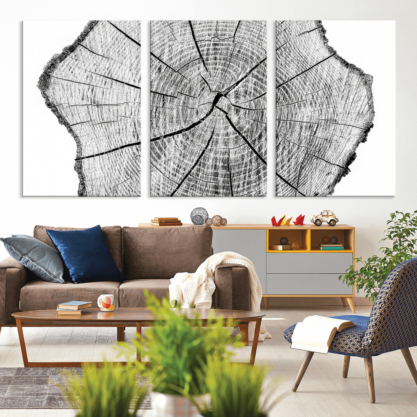 -Rustic Tree Ring Wall Art Canvas Print – Framed and Ready to Hang – Perfect for Nature-Inspired and