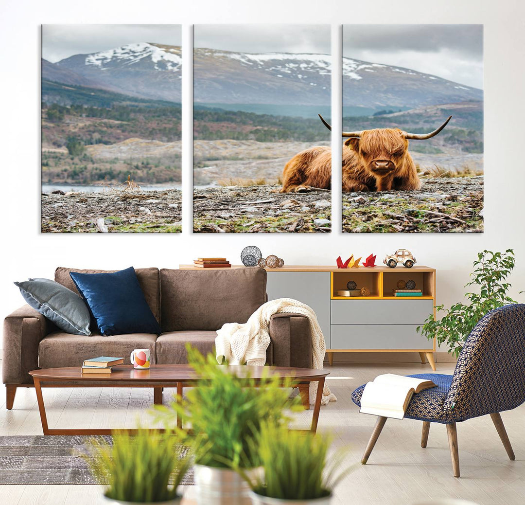 Highland Cow Horn Farm Wall Art Canvas Print is displayed against a wooden wall featuring a mountainous backdrop.