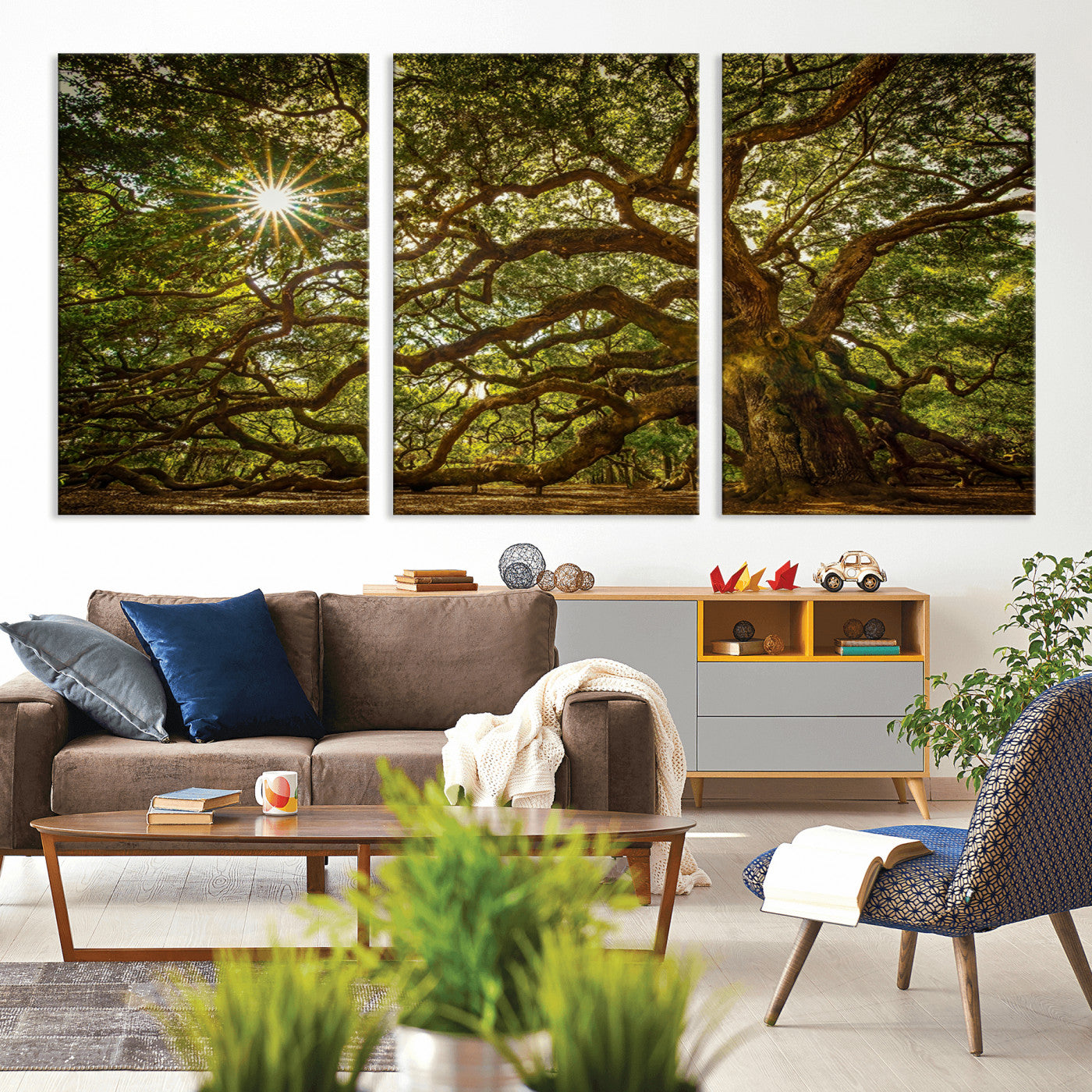 MGV-CV-60X30-3P - Ancient Angel Oak Tree Art Sunburst Canvas Print- Nature-Inspired Triptych Canvas Print, Framed, Ready to Hang