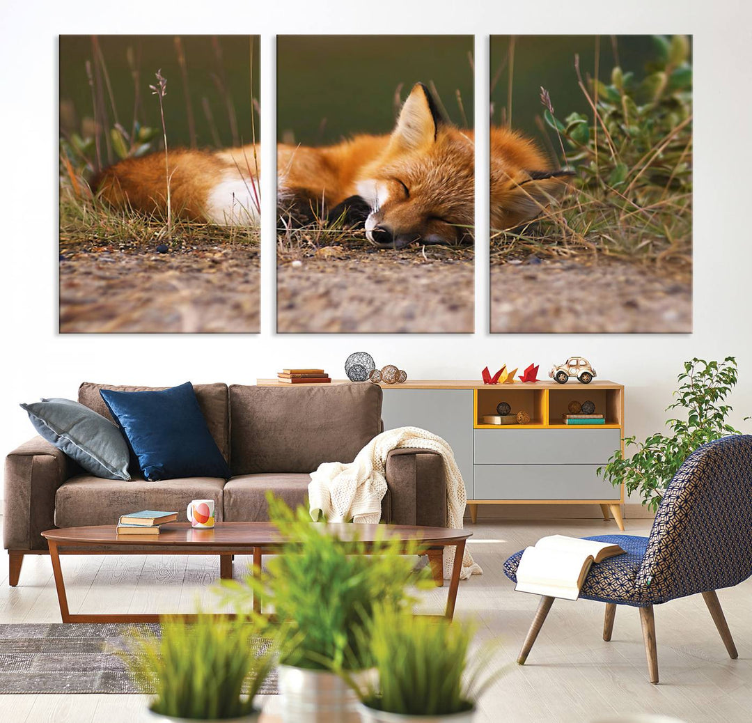 The Sleeping Fox Wall Art Canvas Print is ideal for farmhouse decor.