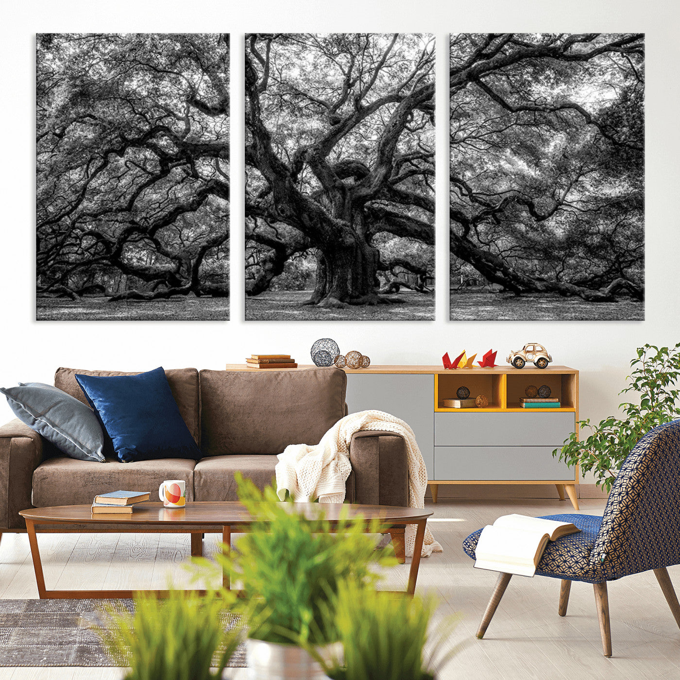 MGV-CV-60X30-3P - Black and White Old Angel Oak Tree Wall Art Canvas Print