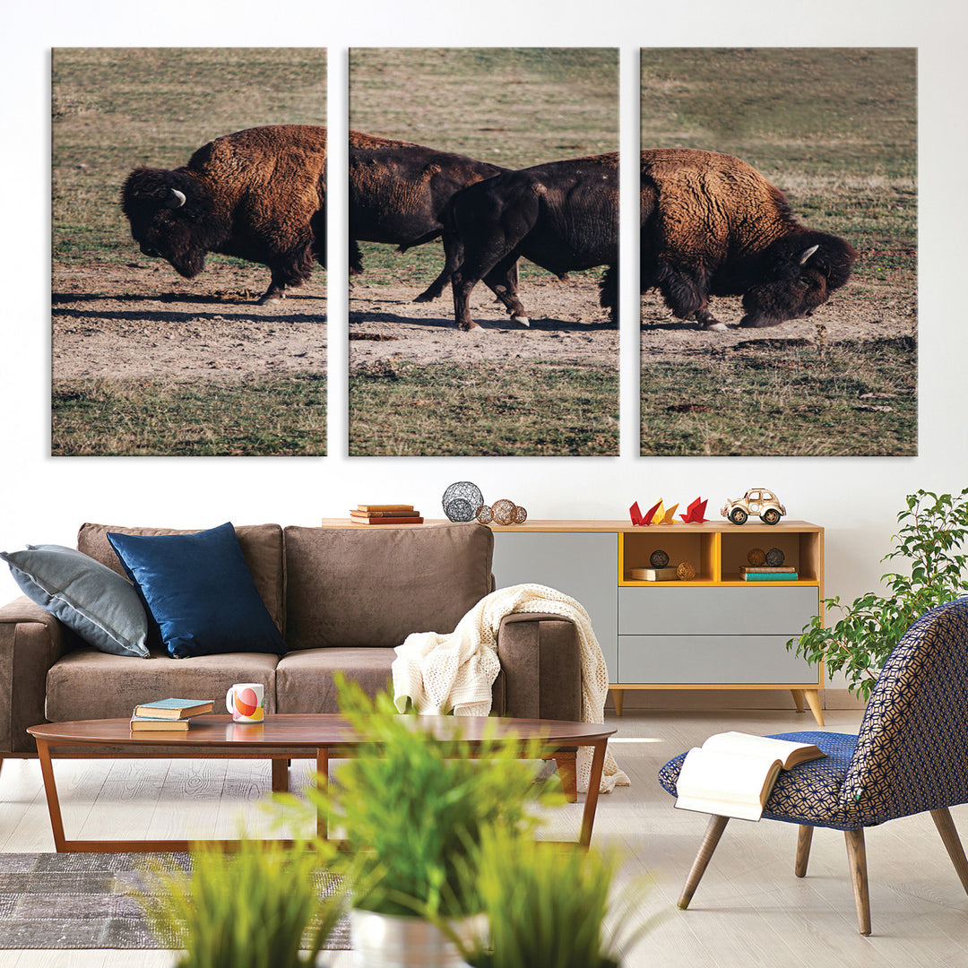 Bison Photography Wall Art Canvas Print, Framed Western Wildlife Art Picture Print, Modern Ranch Perfect Western Rustic Decor Artwork