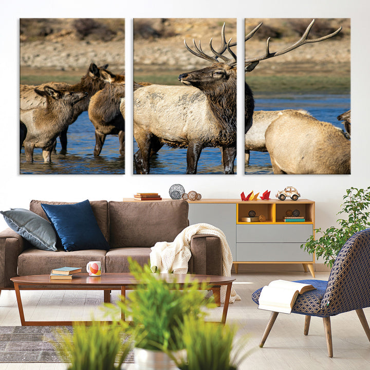 Group of elk standing in shallow water with dry rocky terrain in the background, showcasing wildlife in a natural setting for rustic decor.