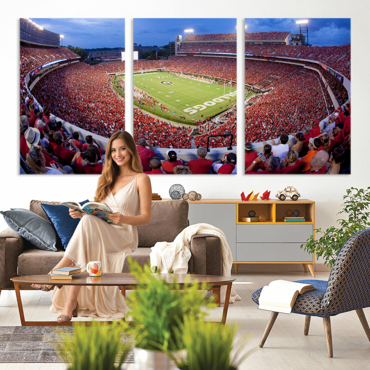 10244378-MGV-CV-36X24 - Dooley Stadium Wall Art, Sports Arena Canvas Print, Dooley Field, Home Bar Wall Decor