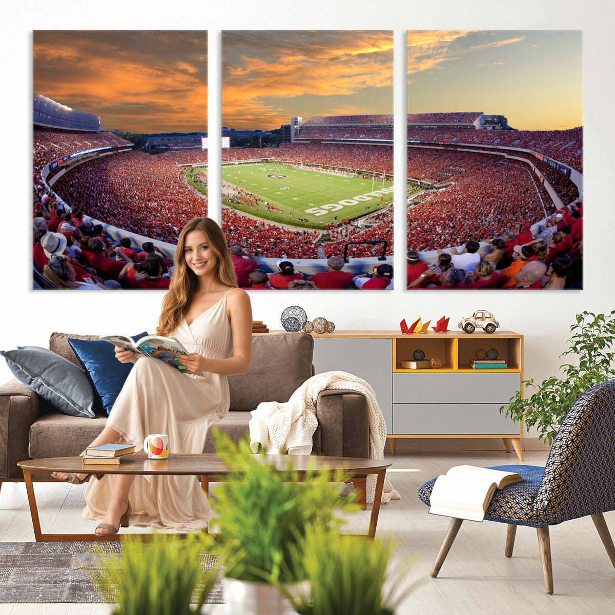 73680988-MGV-CV-36X24 - Dooley Stadium Wall Art, Sports Arena Canvas Print, Dooley Field, Framed and Ready to Hang