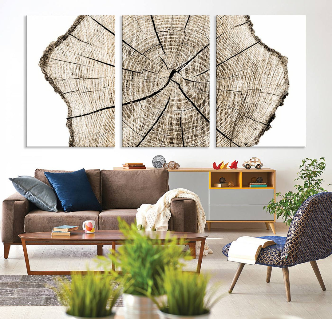 The Abstract Wood Tree Ring Wall Art set of 3 adds a minimalist touch to the space.