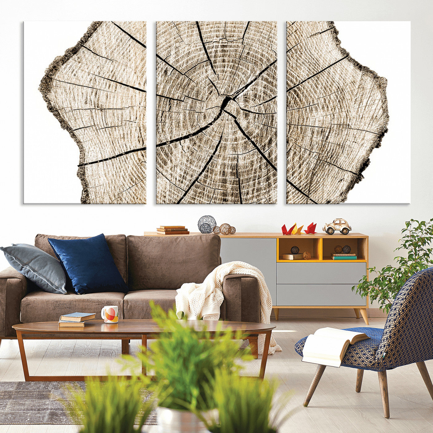 MGV-CV-60X30-3P - Abstract Wood Tree Ring Wall Art - Ready to Hang Minimalist Wooden Design for Rustic & Contemporary