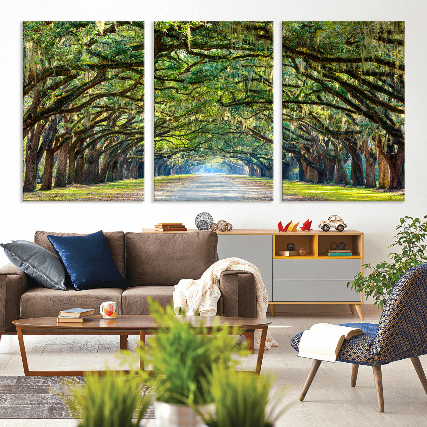 MGV-CV-60X30-3P - Wormsloe State Plantation Driveway Wall Art Canvas Print