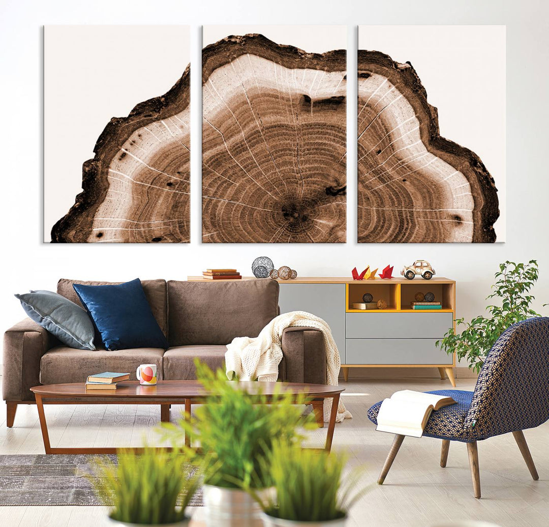 Rustic Wood Rings Wall Art | Nature-Inspired Tree Ring Canvas Print | Ready to Hang and Framed for Farmhouse Wall Decor