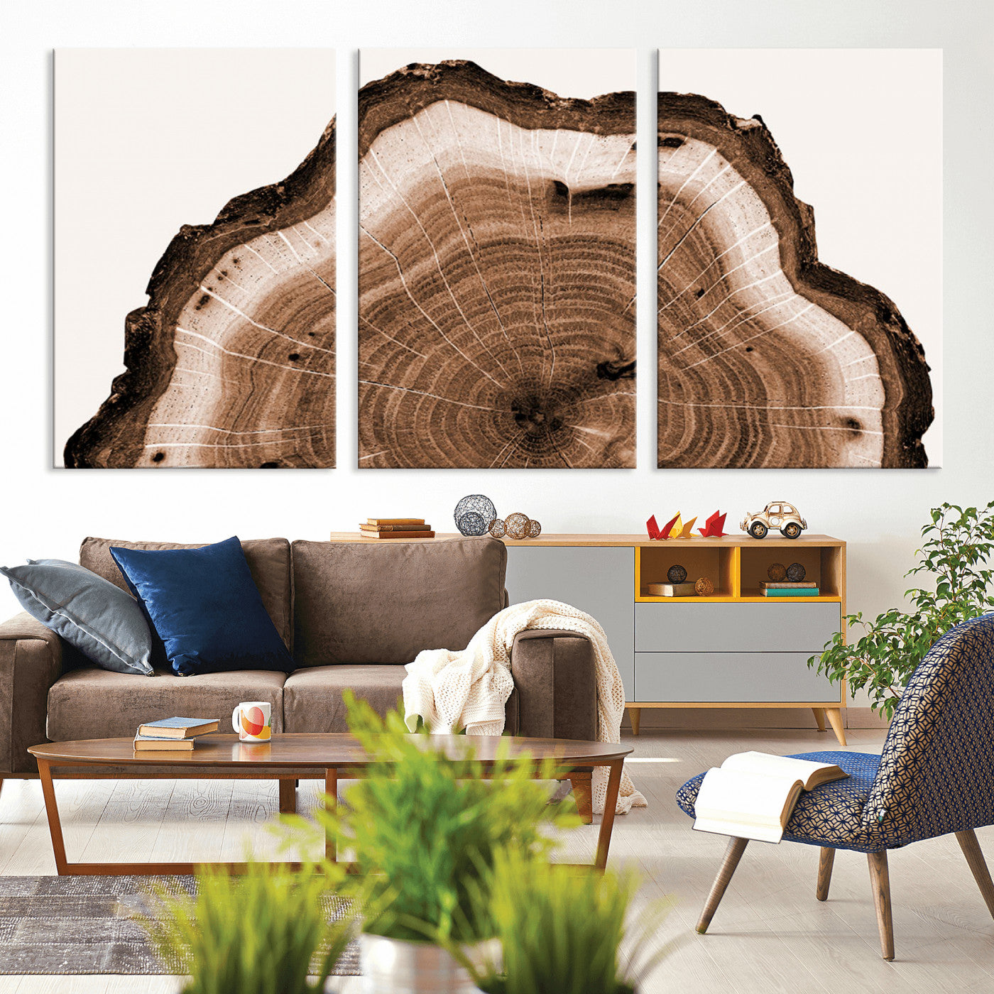 45195-MGV-CV-36X24-Rustic Wood Rings Wall Art | Nature-Inspired Tree Ring Canvas Print | Ready to Hang and Framed for