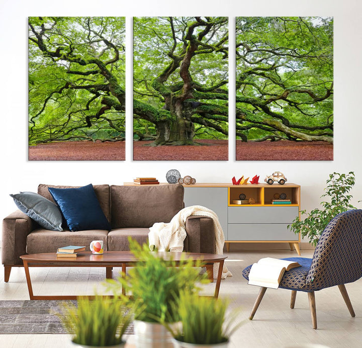 Framed Angel Oak Tree Wall Art - 3-Panel Canvas Prints, Large Green Nature Artwork, Ready to Hang Home Decor for Living Room, Office, Bedroom