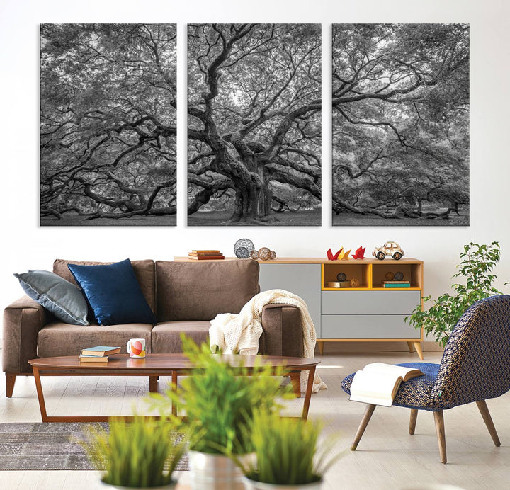 Majestic Angel Oak Tree Black and White Canvas Print – Multi Panel Wall Art, Giclée Print, Ready to Hang Nature Photography for Home Decor