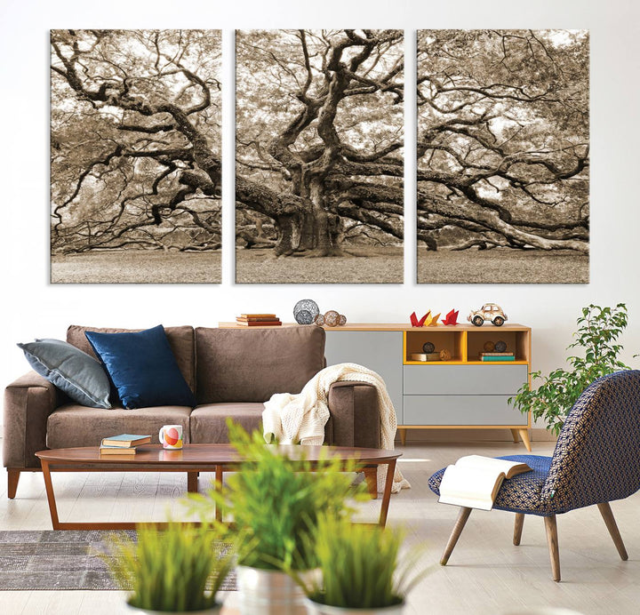 Displayed on the wall is a Sepia-framed Angel Oak Tree 3-panel canvas.