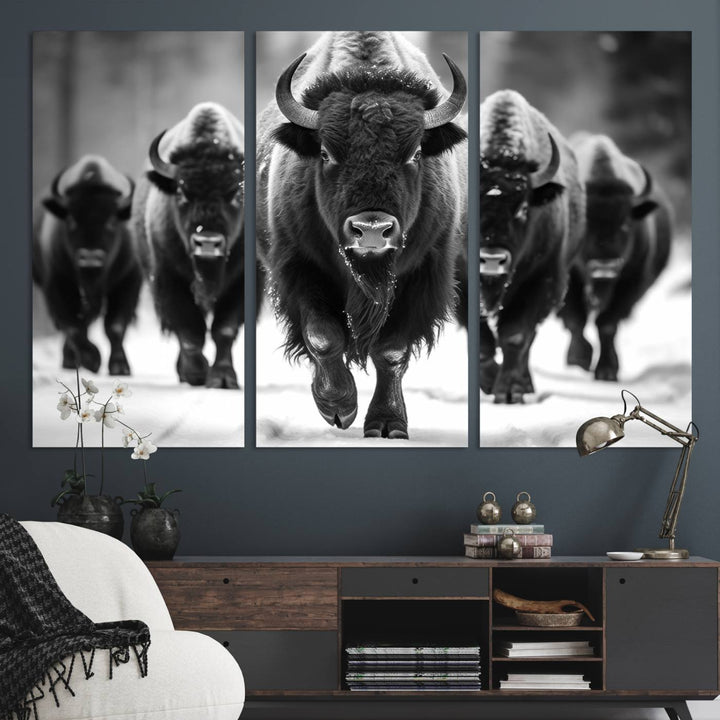 American Bison Art | Buffalo Herd Wall Art Canvas Print, BW American Bison Herd Wall Art Canvas Print