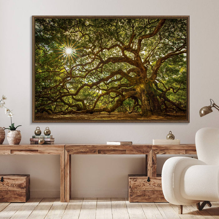 57983-MGV-FC-36X24_Walnut-Ancient Angel Oak Tree Art Sunburst Canvas Print- Nature-Inspired Triptych Canvas Print, Framed, Ready to Hang