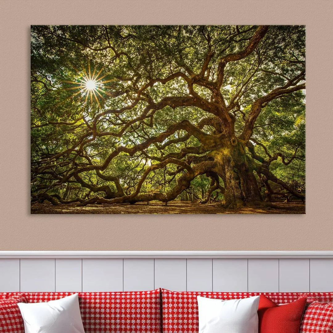 The Nature-Inspired Triptych Canvas Print titled "Ancient Angel Oak Tree Art Sunburst," framed and ready to hang, enhances a modern living room with its captivating design.