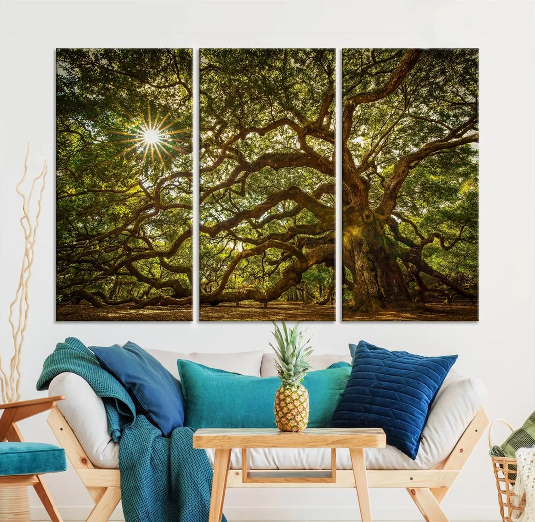 The Nature-Inspired Triptych Canvas Print titled "Ancient Angel Oak Tree Art Sunburst," framed and ready to hang, enhances a modern living room with its captivating design.