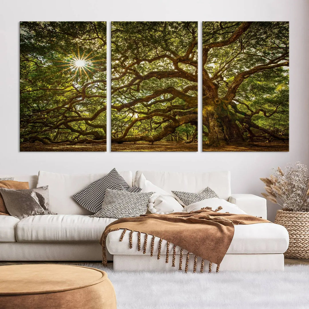 The Nature-Inspired Triptych Canvas Print titled "Ancient Angel Oak Tree Art Sunburst," framed and ready to hang, enhances a modern living room with its captivating design.