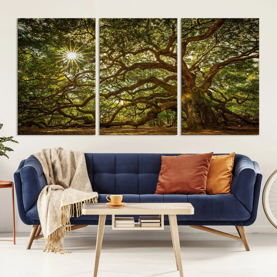 The Nature-Inspired Triptych Canvas Print titled "Ancient Angel Oak Tree Art Sunburst," framed and ready to hang, enhances a modern living room with its captivating design.