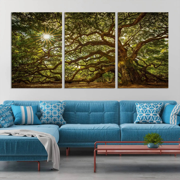 The Nature-Inspired Triptych Canvas Print titled "Ancient Angel Oak Tree Art Sunburst," framed and ready to hang, enhances a modern living room with its captivating design.