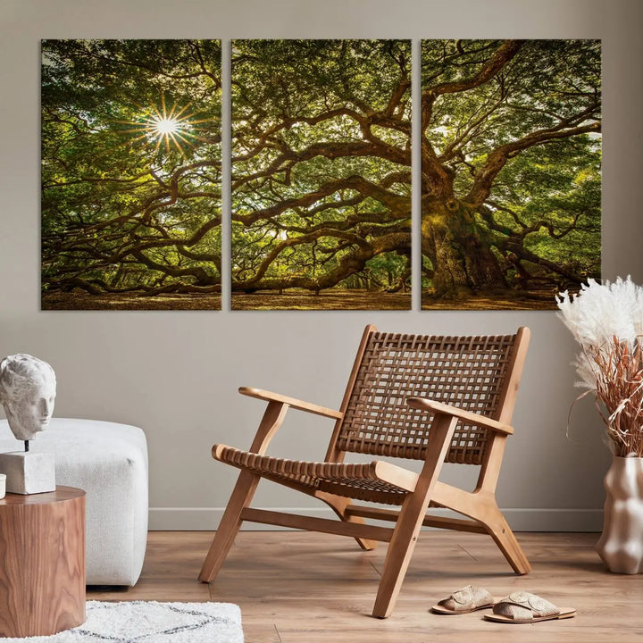 The Nature-Inspired Triptych Canvas Print titled "Ancient Angel Oak Tree Art Sunburst," framed and ready to hang, enhances a modern living room with its captivating design.