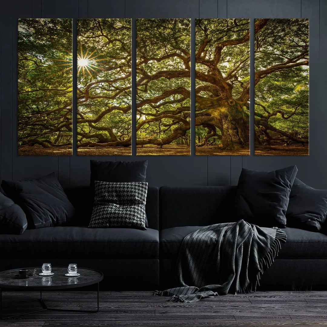 The Nature-Inspired Triptych Canvas Print titled "Ancient Angel Oak Tree Art Sunburst," framed and ready to hang, enhances a modern living room with its captivating design.