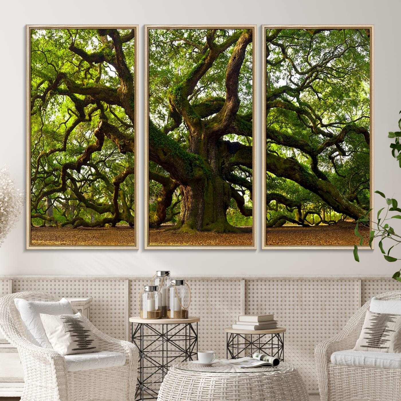 29407-MGV-CV-36X24-Angel Oak Tree Wall Art Canvas Print | Forest Tree Nature Photography Print on Canvas | Large Triptych Art for Living Room or Office Decor