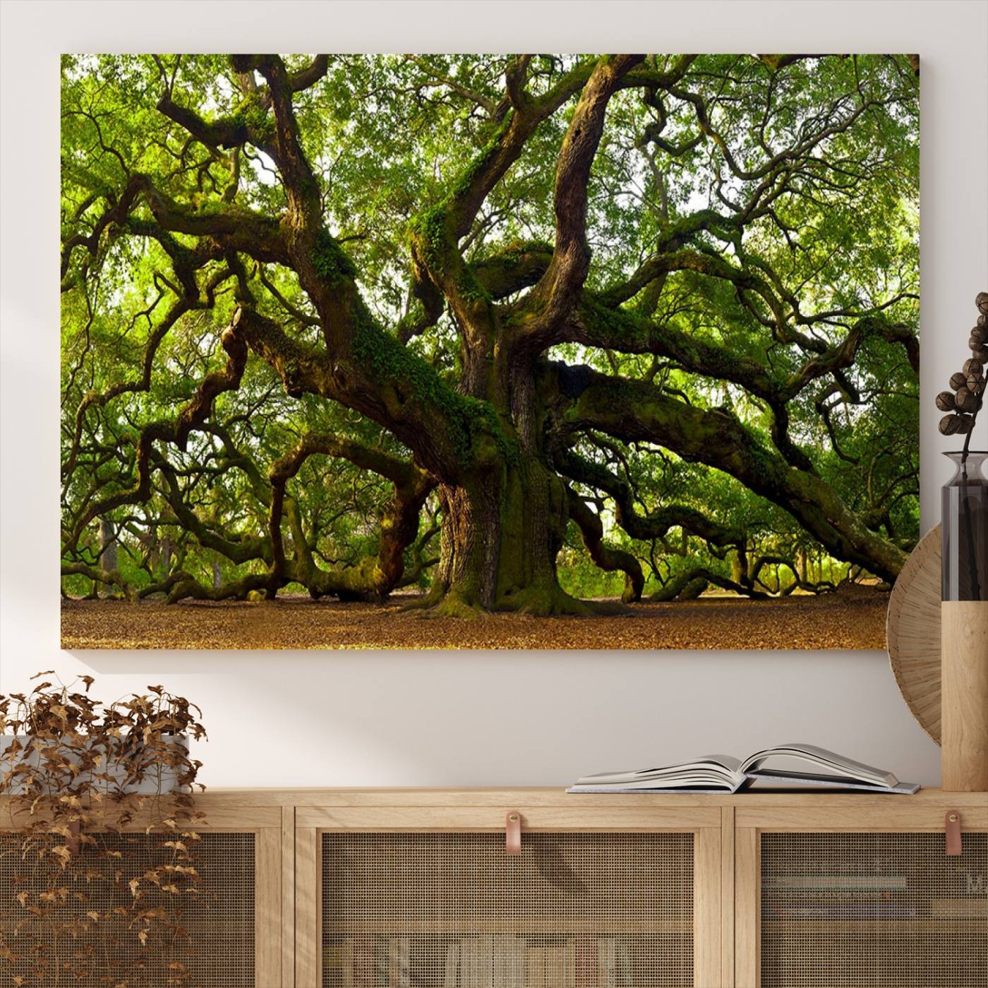 Angel Oak Tree Wall Art Canvas Print | Forest Tree Nature Photography Print on Canvas | Large Triptych Art for Living Room or Office Decor
