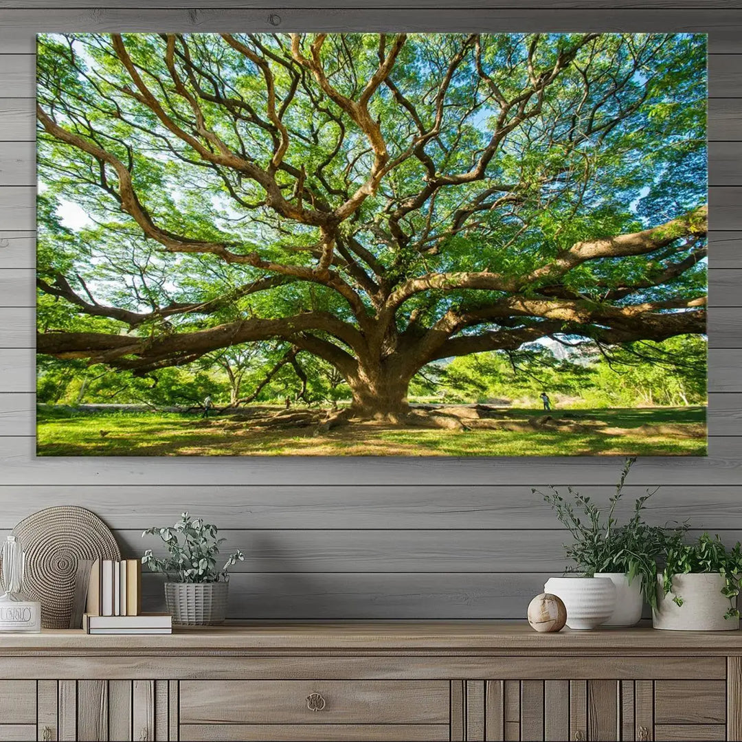 The Angel Oak Tree Wall Art, a multi-panel canvas print showcasing a large tree with sprawling branches and green leaves in a style reminiscent of the majestic Angel Oak Tree, elegantly adorns the wooden wall in the living room.