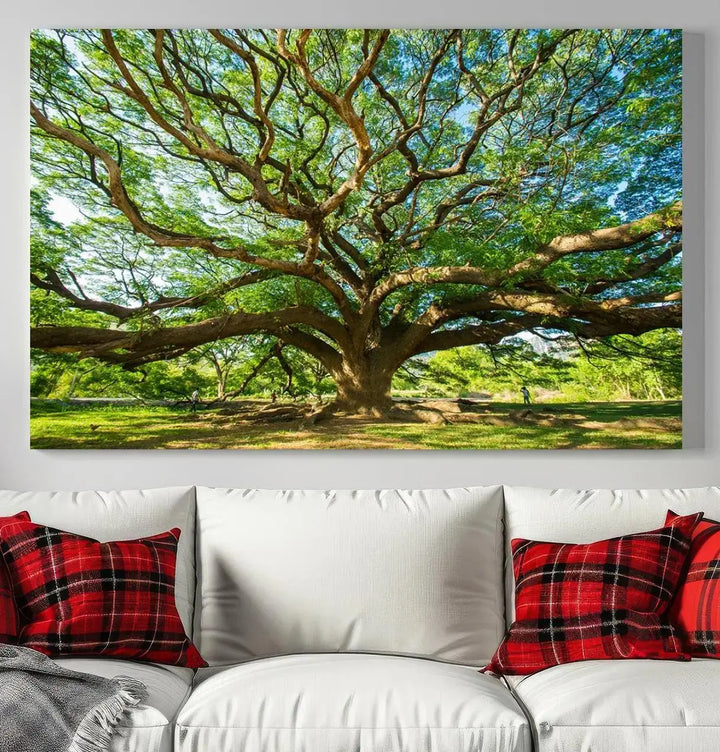 The Angel Oak Tree Wall Art, a multi-panel canvas print showcasing a large tree with sprawling branches and green leaves in a style reminiscent of the majestic Angel Oak Tree, elegantly adorns the wooden wall in the living room.