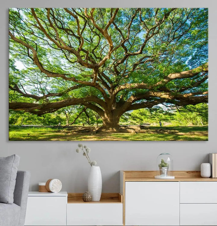 The Angel Oak Tree Wall Art, a multi-panel canvas print showcasing a large tree with sprawling branches and green leaves in a style reminiscent of the majestic Angel Oak Tree, elegantly adorns the wooden wall in the living room.