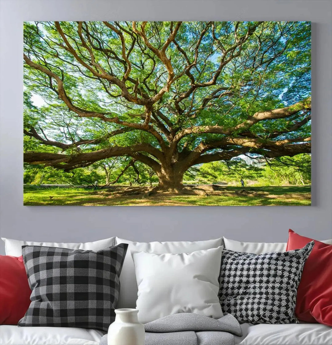 The Angel Oak Tree Wall Art, a multi-panel canvas print showcasing a large tree with sprawling branches and green leaves in a style reminiscent of the majestic Angel Oak Tree, elegantly adorns the wooden wall in the living room.