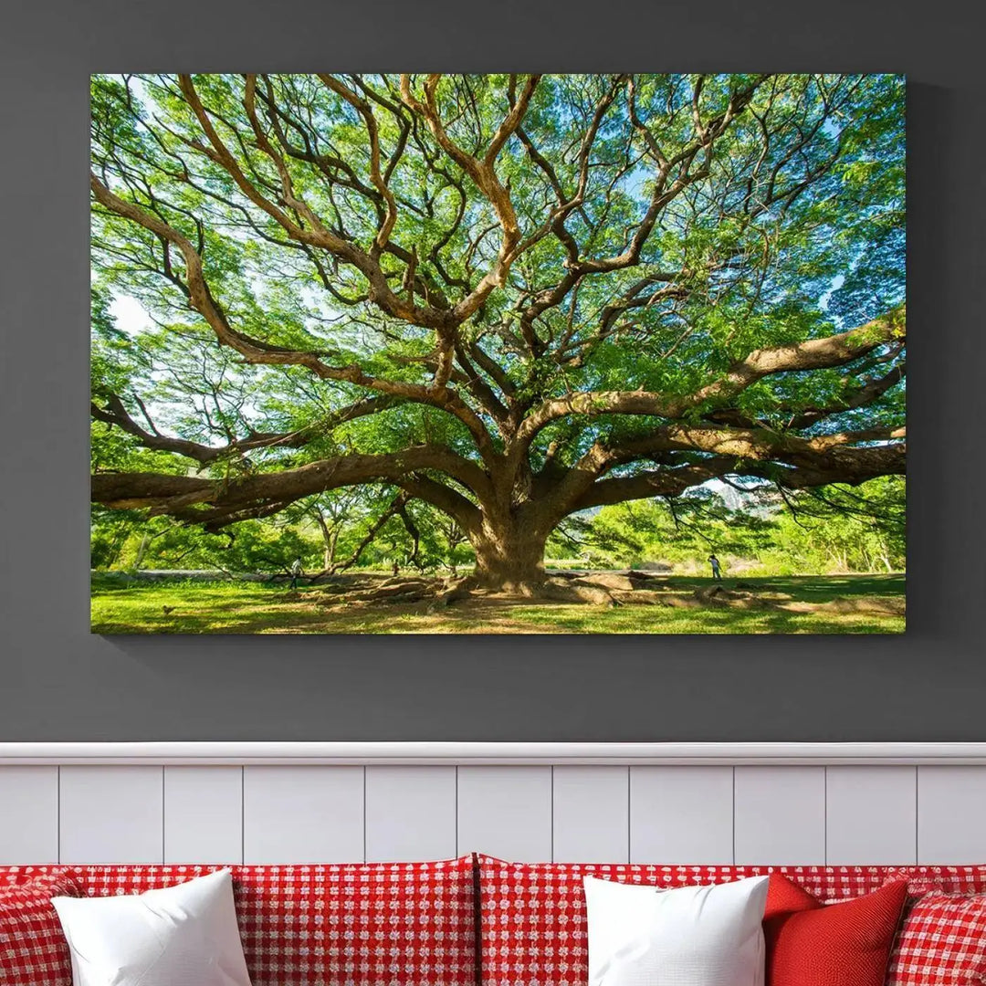 The Angel Oak Tree Wall Art, a multi-panel canvas print showcasing a large tree with sprawling branches and green leaves in a style reminiscent of the majestic Angel Oak Tree, elegantly adorns the wooden wall in the living room.