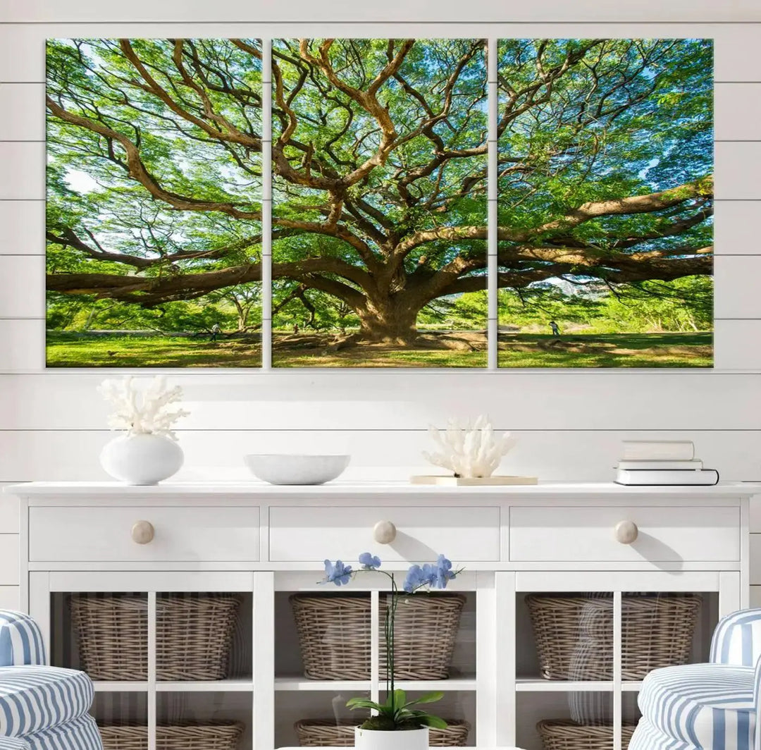 The Angel Oak Tree Wall Art, a multi-panel canvas print showcasing a large tree with sprawling branches and green leaves in a style reminiscent of the majestic Angel Oak Tree, elegantly adorns the wooden wall in the living room.