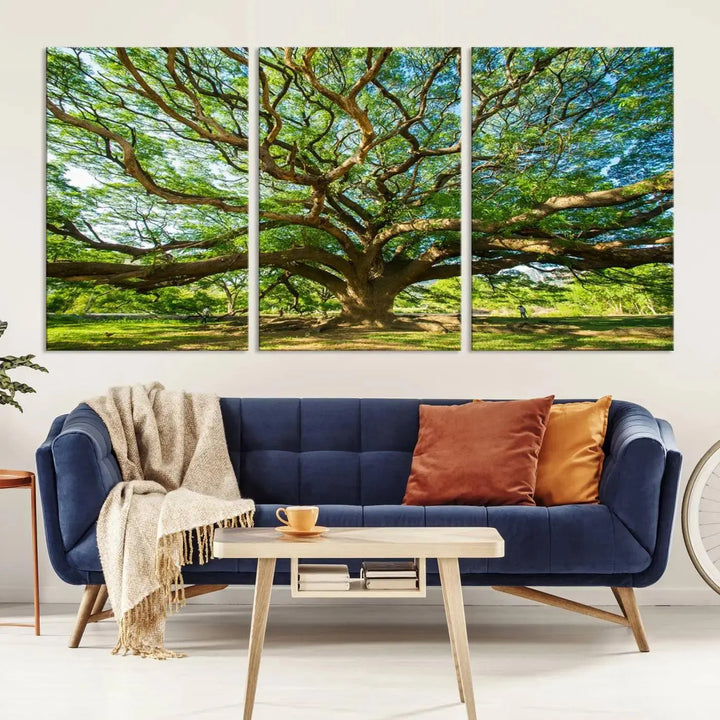 The Angel Oak Tree Wall Art, a multi-panel canvas print showcasing a large tree with sprawling branches and green leaves in a style reminiscent of the majestic Angel Oak Tree, elegantly adorns the wooden wall in the living room.