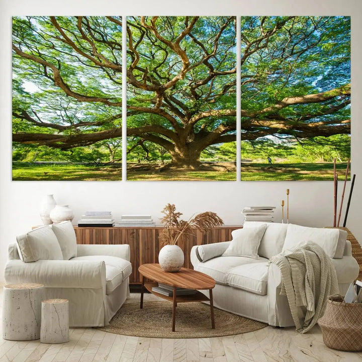 The Angel Oak Tree Wall Art, a multi-panel canvas print showcasing a large tree with sprawling branches and green leaves in a style reminiscent of the majestic Angel Oak Tree, elegantly adorns the wooden wall in the living room.