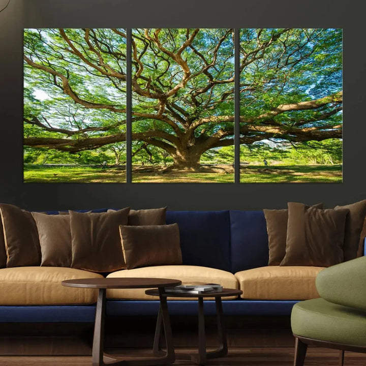 The Angel Oak Tree Wall Art, a multi-panel canvas print showcasing a large tree with sprawling branches and green leaves in a style reminiscent of the majestic Angel Oak Tree, elegantly adorns the wooden wall in the living room.