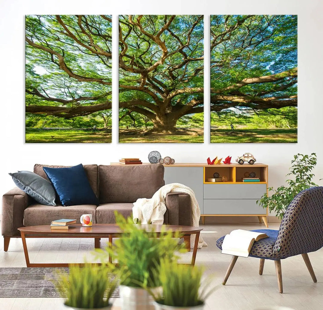 The Angel Oak Tree Wall Art, a multi-panel canvas print showcasing a large tree with sprawling branches and green leaves in a style reminiscent of the majestic Angel Oak Tree, elegantly adorns the wooden wall in the living room.