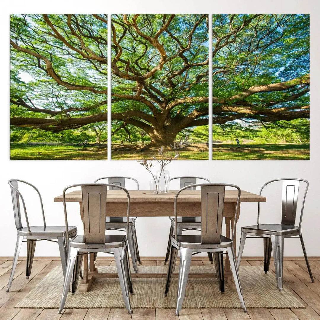 The Angel Oak Tree Wall Art, a multi-panel canvas print showcasing a large tree with sprawling branches and green leaves in a style reminiscent of the majestic Angel Oak Tree, elegantly adorns the wooden wall in the living room.