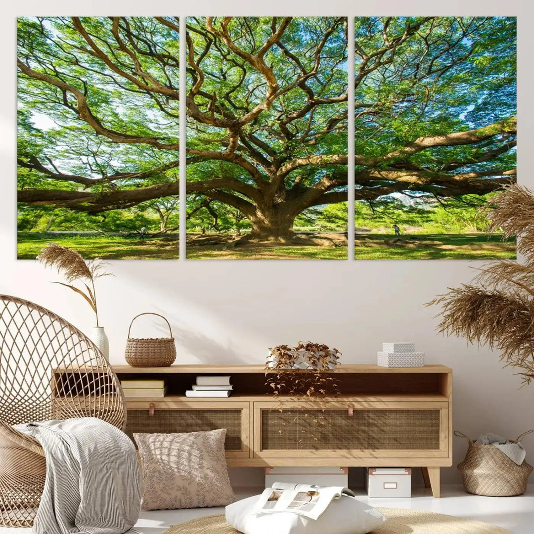 The Angel Oak Tree Wall Art, a multi-panel canvas print showcasing a large tree with sprawling branches and green leaves in a style reminiscent of the majestic Angel Oak Tree, elegantly adorns the wooden wall in the living room.