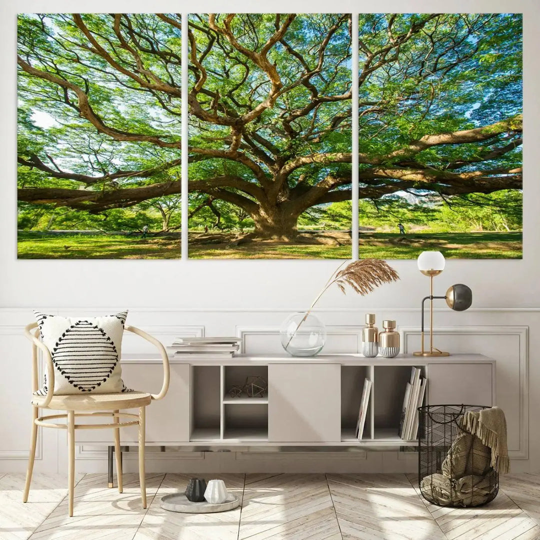 The Angel Oak Tree Wall Art, a multi-panel canvas print showcasing a large tree with sprawling branches and green leaves in a style reminiscent of the majestic Angel Oak Tree, elegantly adorns the wooden wall in the living room.