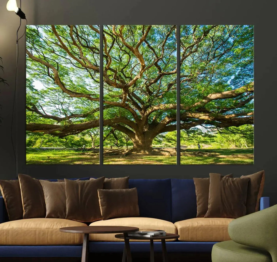 The Angel Oak Tree Wall Art, a multi-panel canvas print showcasing a large tree with sprawling branches and green leaves in a style reminiscent of the majestic Angel Oak Tree, elegantly adorns the wooden wall in the living room.