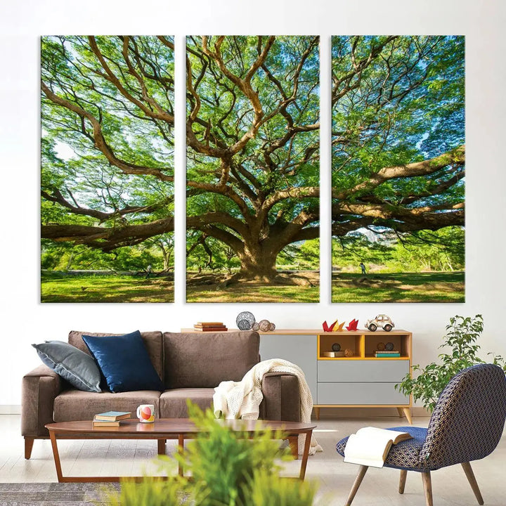 The Angel Oak Tree Wall Art, a multi-panel canvas print showcasing a large tree with sprawling branches and green leaves in a style reminiscent of the majestic Angel Oak Tree, elegantly adorns the wooden wall in the living room.