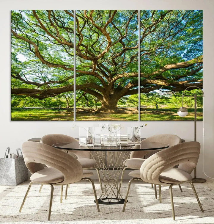 The Angel Oak Tree Wall Art, a multi-panel canvas print showcasing a large tree with sprawling branches and green leaves in a style reminiscent of the majestic Angel Oak Tree, elegantly adorns the wooden wall in the living room.