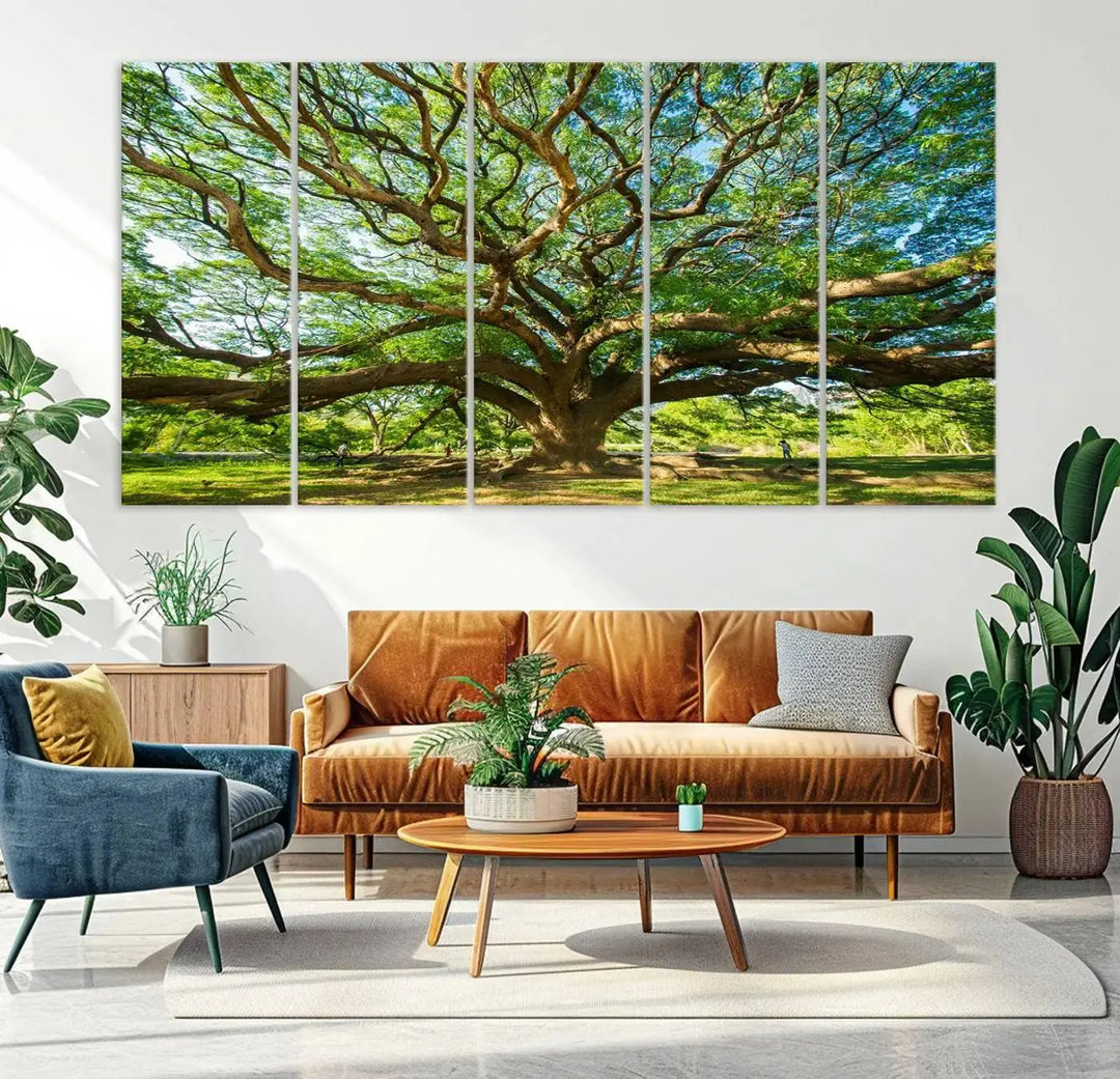 The Angel Oak Tree Wall Art, a multi-panel canvas print showcasing a large tree with sprawling branches and green leaves in a style reminiscent of the majestic Angel Oak Tree, elegantly adorns the wooden wall in the living room.