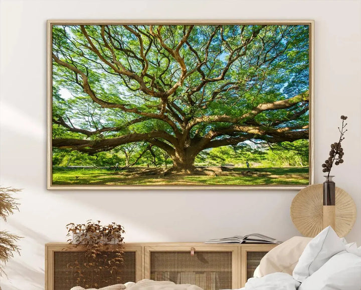 The Angel Oak Tree Wall Art, a multi-panel canvas print showcasing a large tree with sprawling branches and green leaves in a style reminiscent of the majestic Angel Oak Tree, elegantly adorns the wooden wall in the living room.